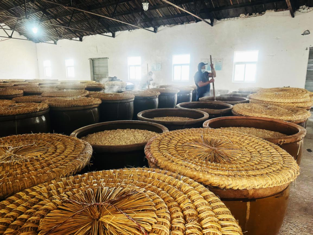 金狮贵宾会·宾至如归尊贵显赫(中国)官方网站