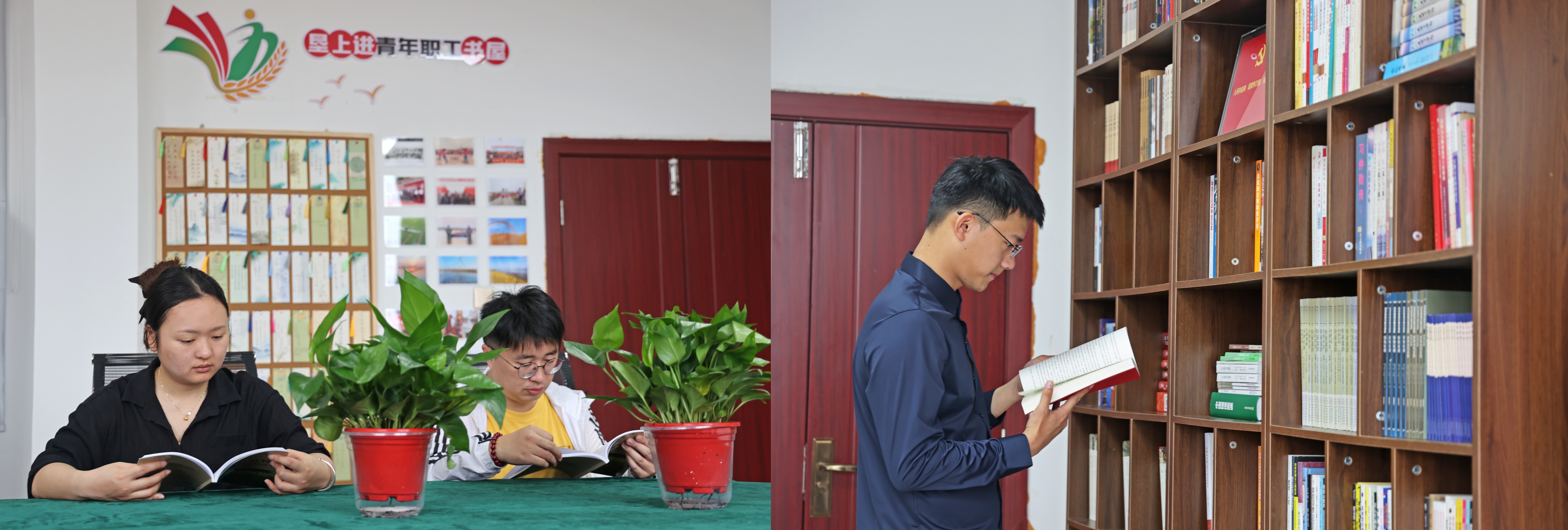 金狮贵宾会·宾至如归尊贵显赫(中国)官方网站