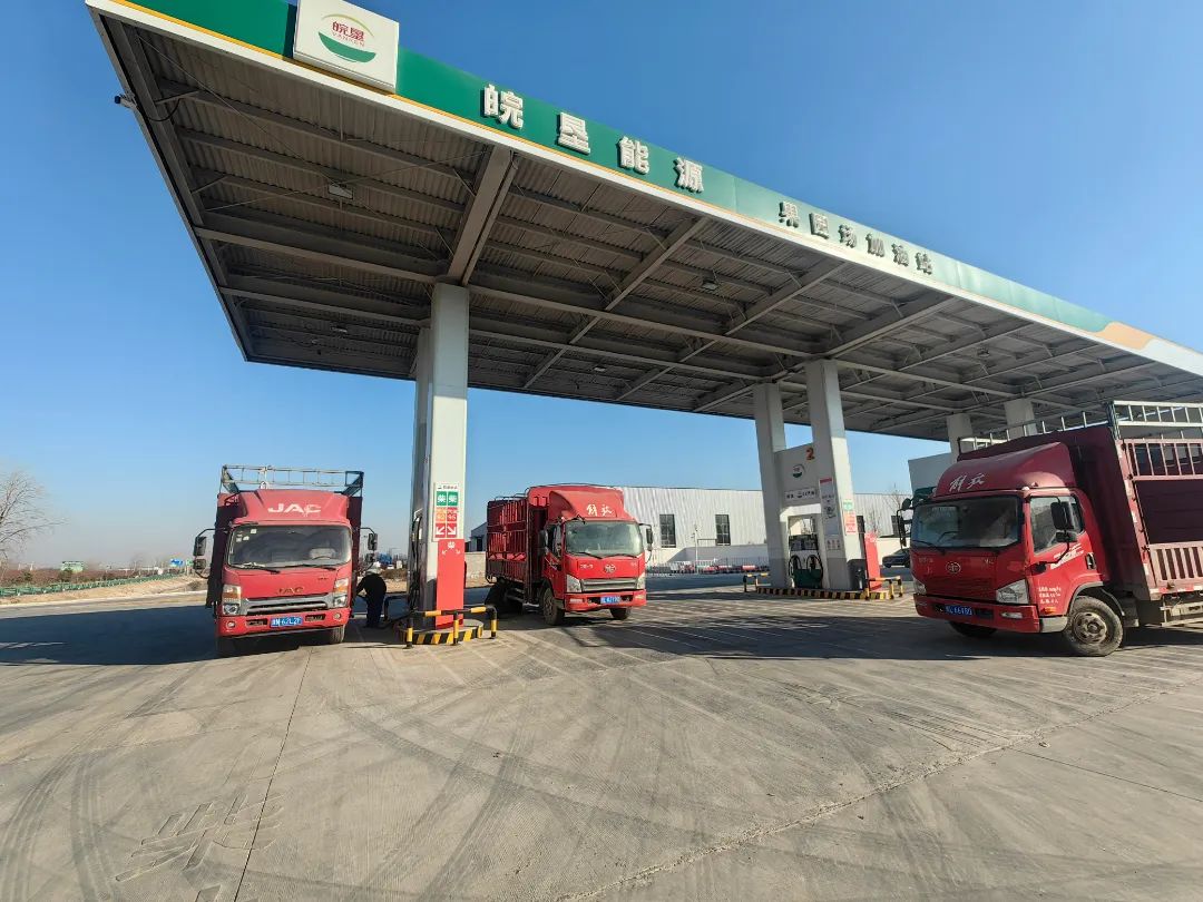 金狮贵宾会·宾至如归尊贵显赫(中国)官方网站