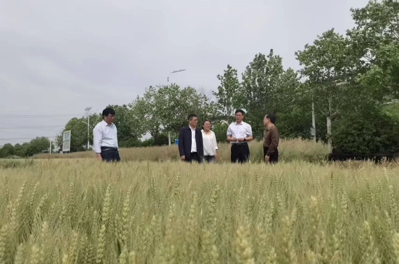 金狮贵宾会·宾至如归尊贵显赫(中国)官方网站