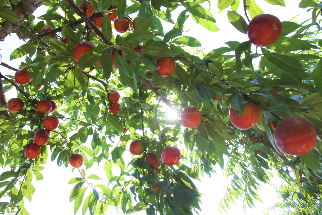 金狮贵宾会·宾至如归尊贵显赫(中国)官方网站