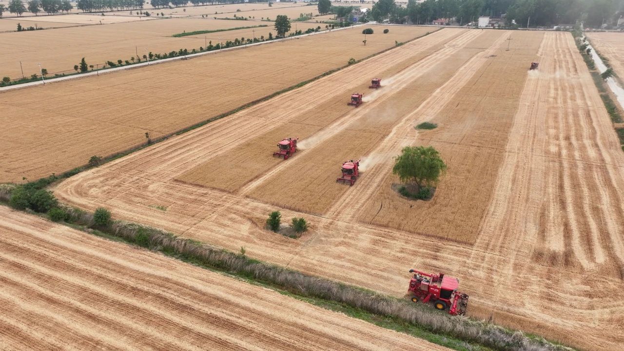 金狮贵宾会·宾至如归尊贵显赫(中国)官方网站