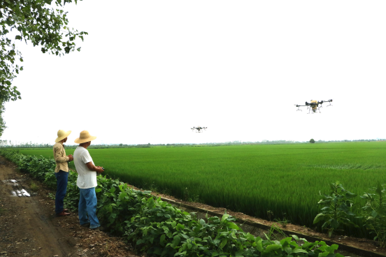 金狮贵宾会·宾至如归尊贵显赫(中国)官方网站