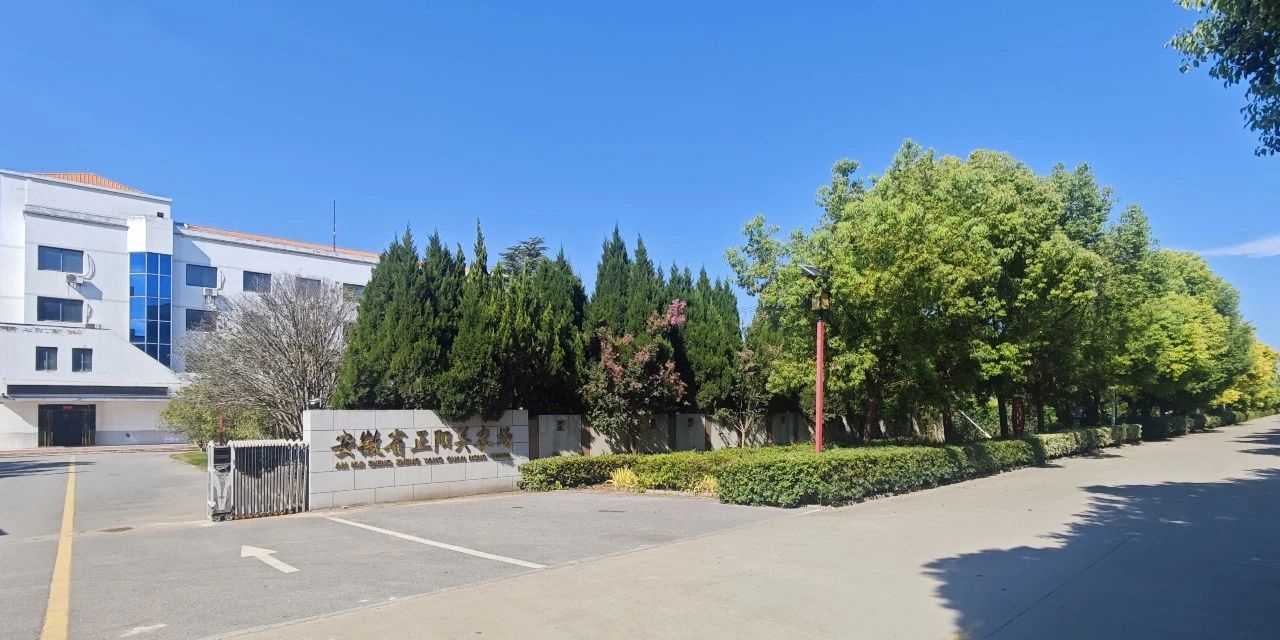 金狮贵宾会·宾至如归尊贵显赫(中国)官方网站