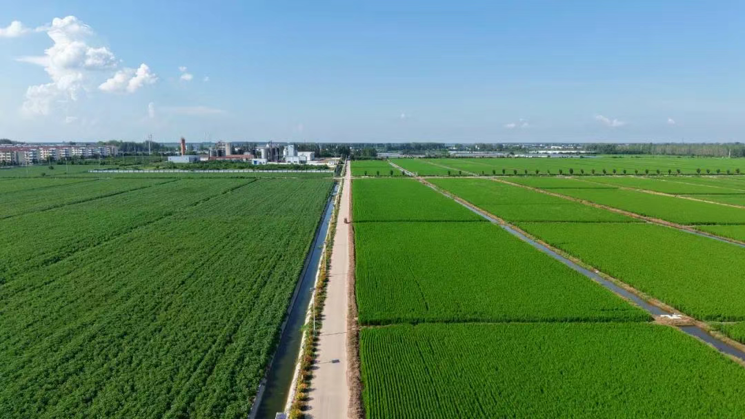 金狮贵宾会·宾至如归尊贵显赫(中国)官方网站