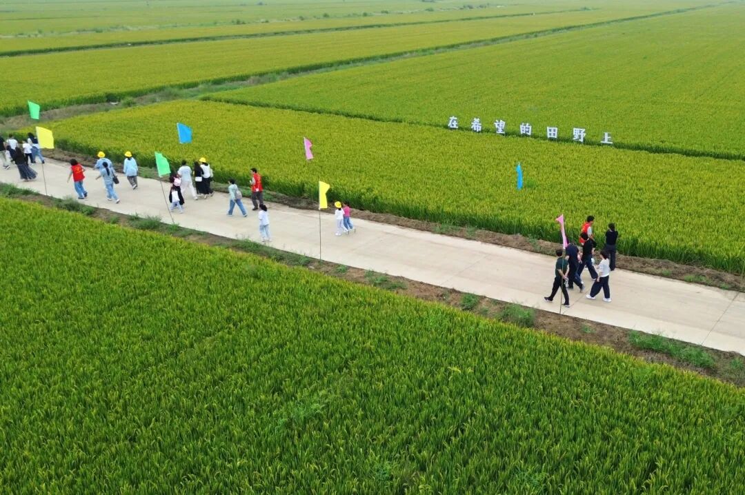 金狮贵宾会·宾至如归尊贵显赫(中国)官方网站