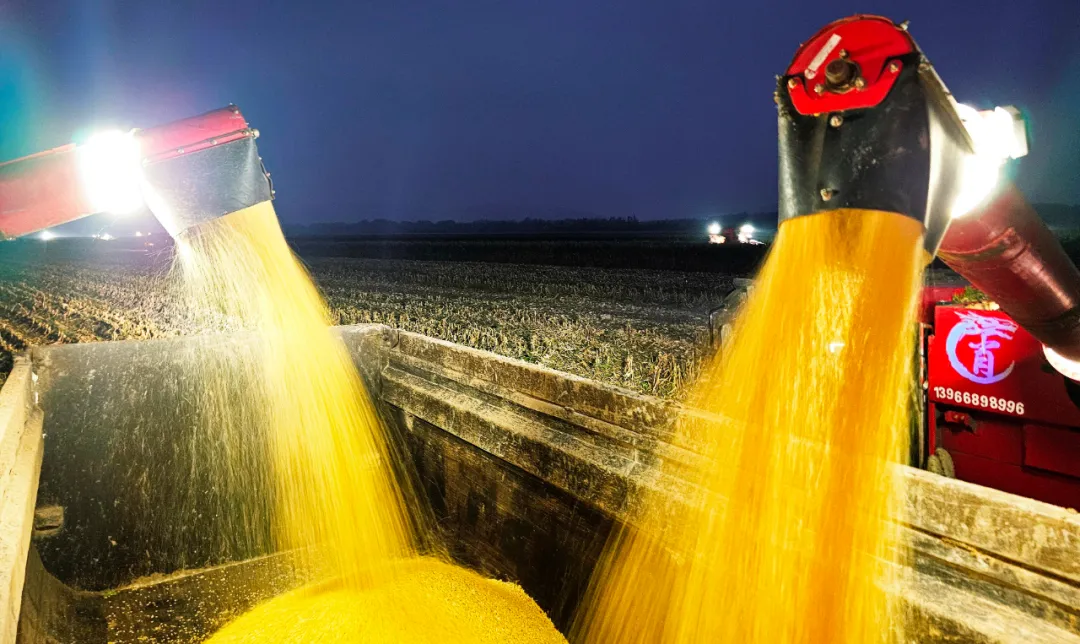 金狮贵宾会·宾至如归尊贵显赫(中国)官方网站