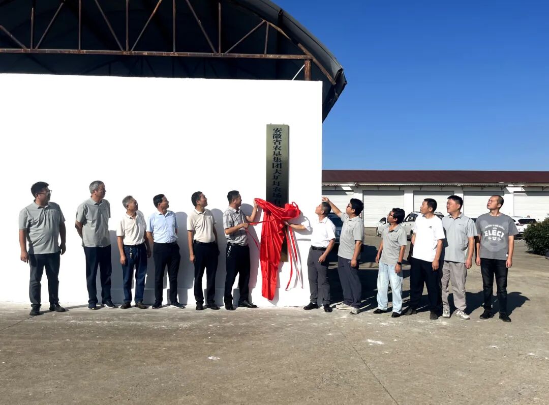 金狮贵宾会·宾至如归尊贵显赫(中国)官方网站