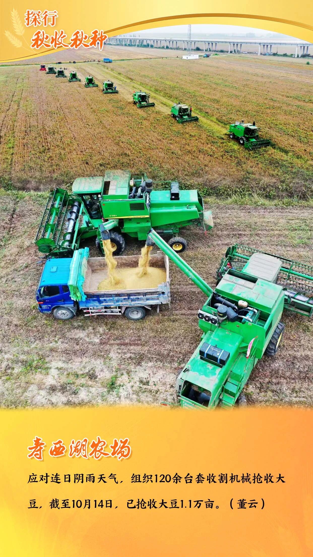 金狮贵宾会·宾至如归尊贵显赫(中国)官方网站