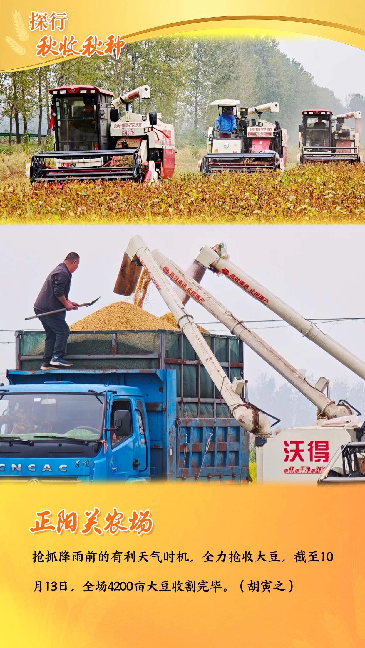 金狮贵宾会·宾至如归尊贵显赫(中国)官方网站