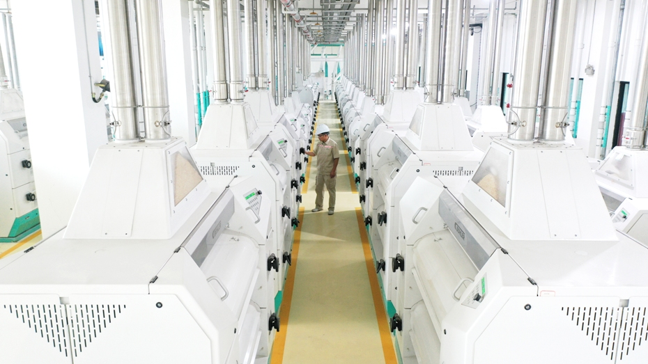 金狮贵宾会·宾至如归尊贵显赫(中国)官方网站