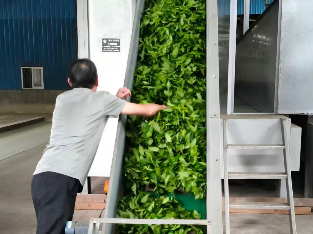 金狮贵宾会·宾至如归尊贵显赫(中国)官方网站