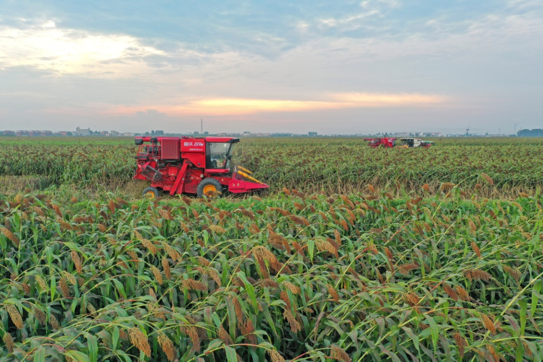 金狮贵宾会·宾至如归尊贵显赫(中国)官方网站