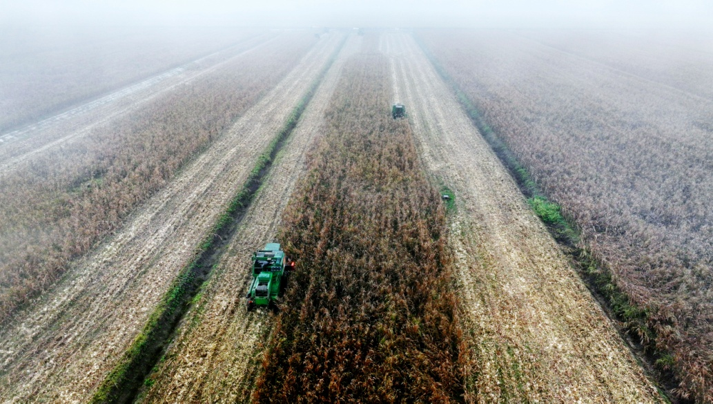 金狮贵宾会·宾至如归尊贵显赫(中国)官方网站