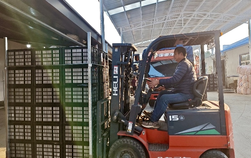 金狮贵宾会·宾至如归尊贵显赫(中国)官方网站