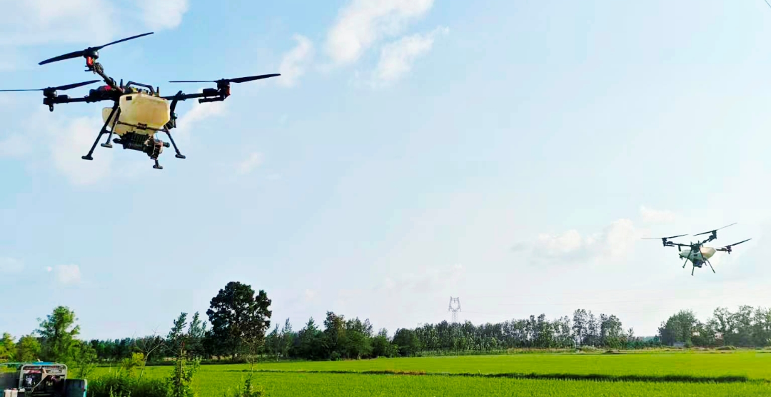 金狮贵宾会·宾至如归尊贵显赫(中国)官方网站