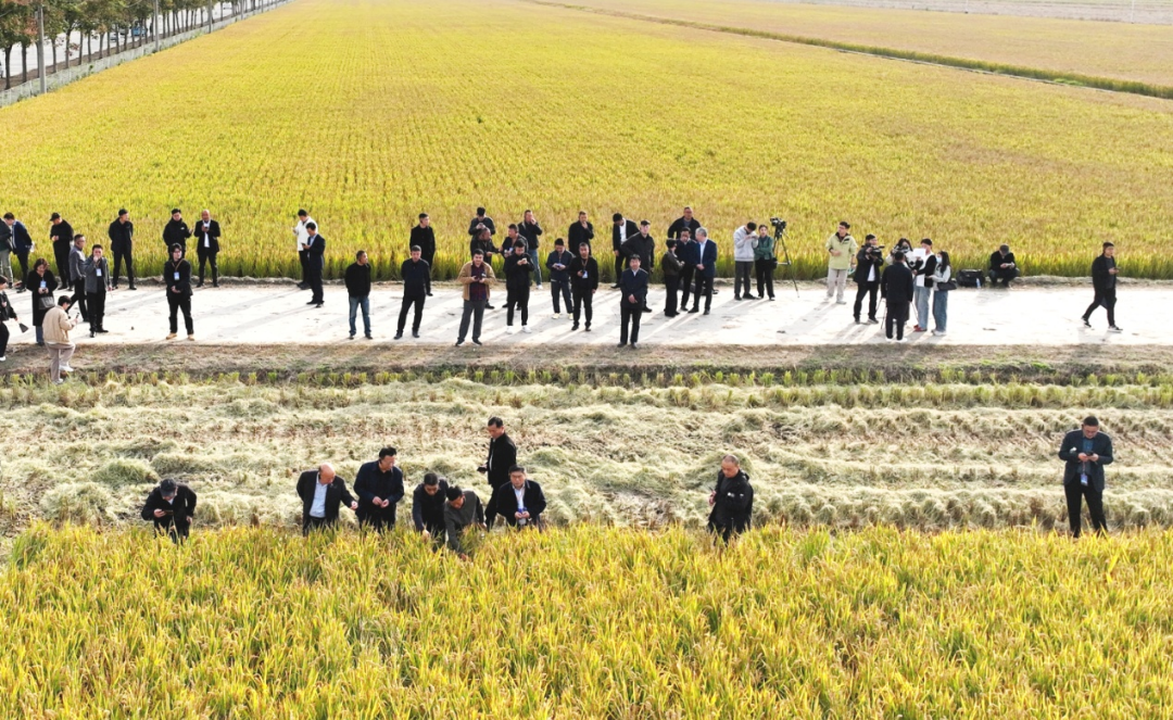 金狮贵宾会·宾至如归尊贵显赫(中国)官方网站