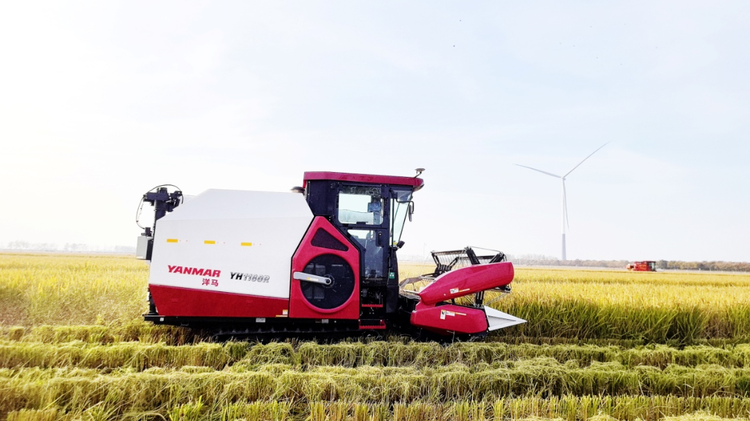 金狮贵宾会·宾至如归尊贵显赫(中国)官方网站