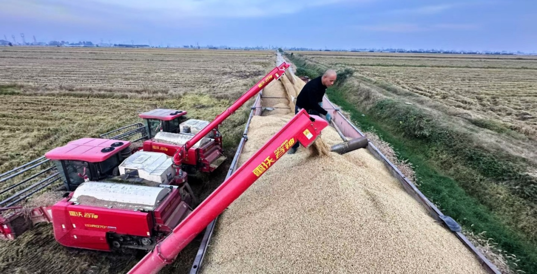 金狮贵宾会·宾至如归尊贵显赫(中国)官方网站