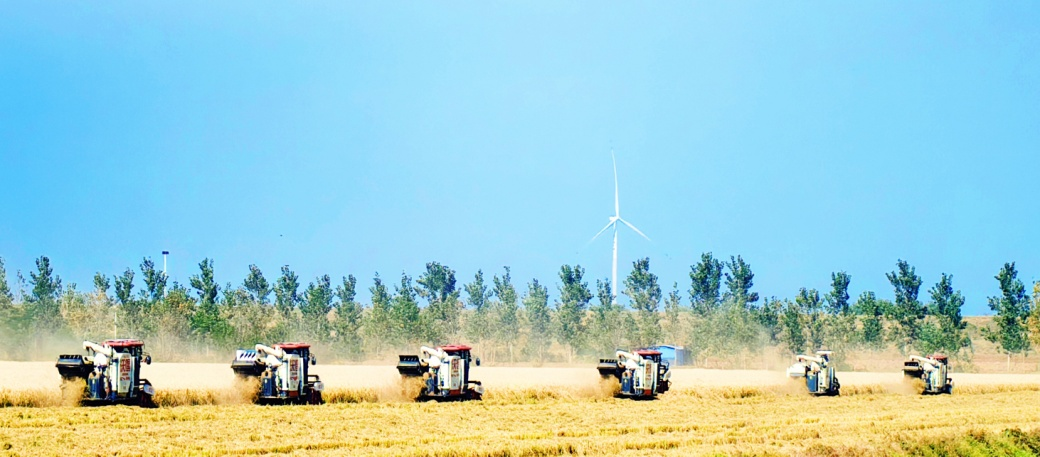 金狮贵宾会·宾至如归尊贵显赫(中国)官方网站