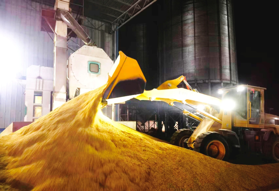 金狮贵宾会·宾至如归尊贵显赫(中国)官方网站