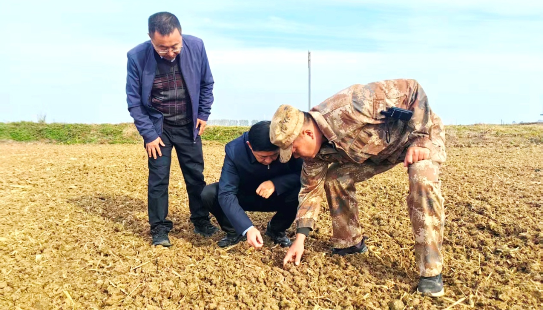 金狮贵宾会·宾至如归尊贵显赫(中国)官方网站