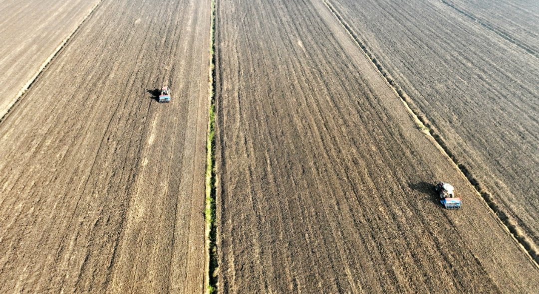 金狮贵宾会·宾至如归尊贵显赫(中国)官方网站