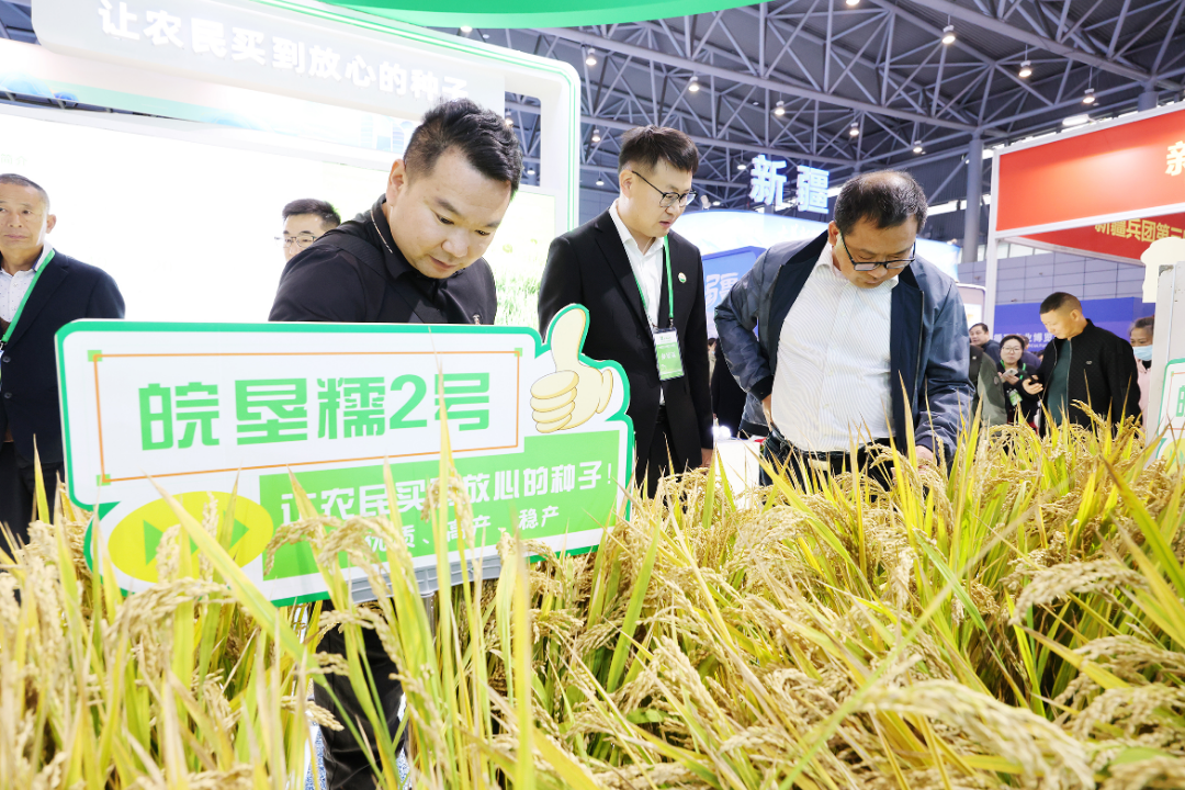 金狮贵宾会·宾至如归尊贵显赫(中国)官方网站