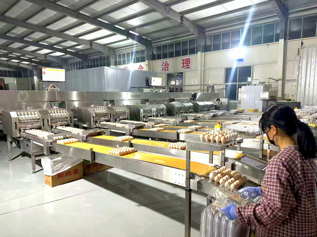 金狮贵宾会·宾至如归尊贵显赫(中国)官方网站