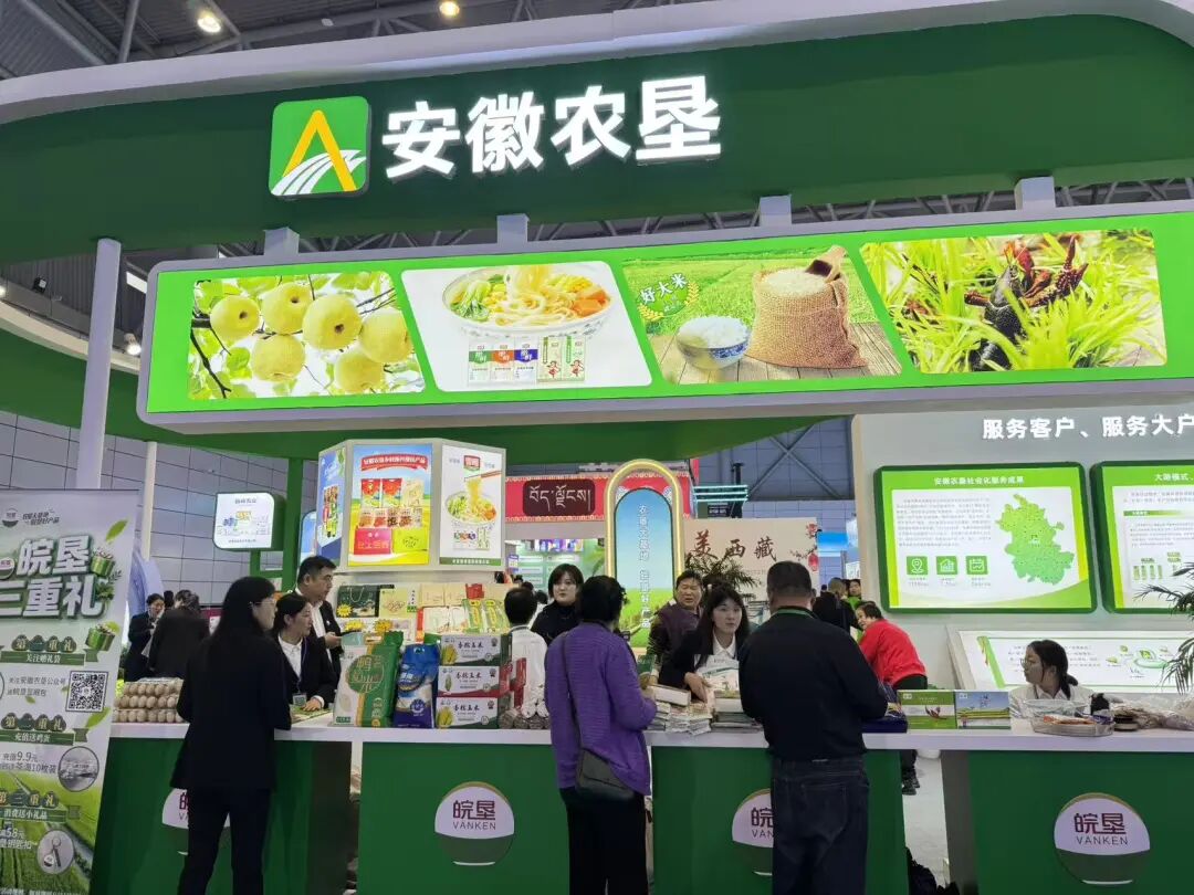 金狮贵宾会·宾至如归尊贵显赫(中国)官方网站