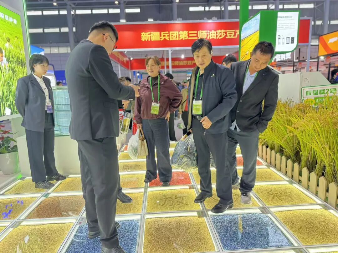 金狮贵宾会·宾至如归尊贵显赫(中国)官方网站