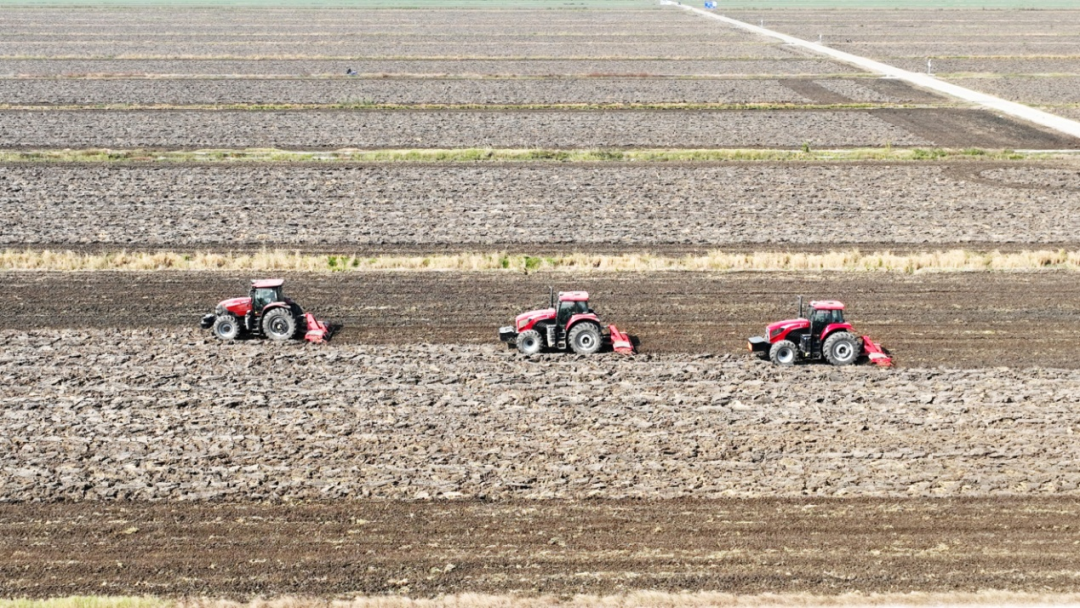 金狮贵宾会·宾至如归尊贵显赫(中国)官方网站