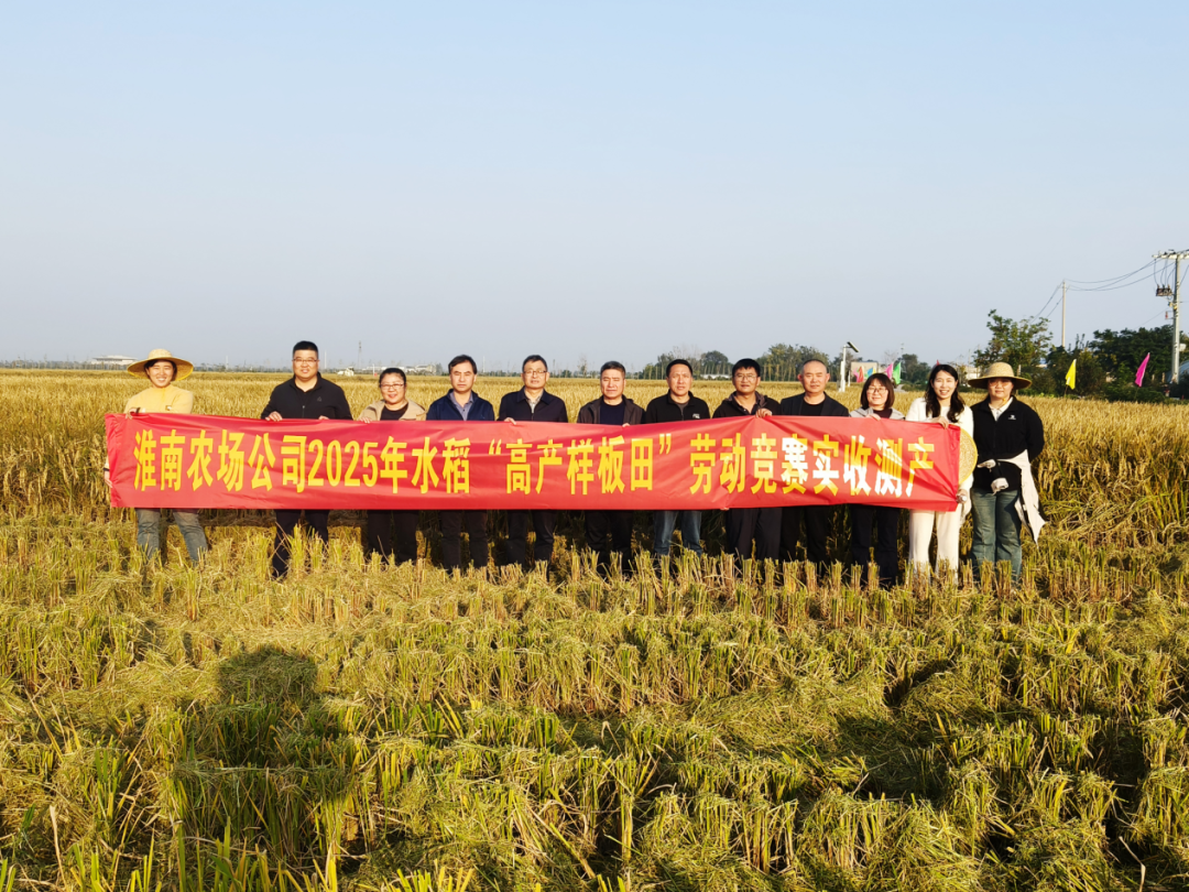 金狮贵宾会·宾至如归尊贵显赫(中国)官方网站