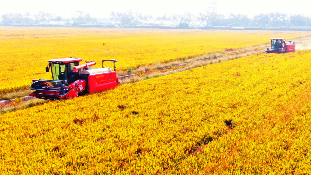 金狮贵宾会·宾至如归尊贵显赫(中国)官方网站