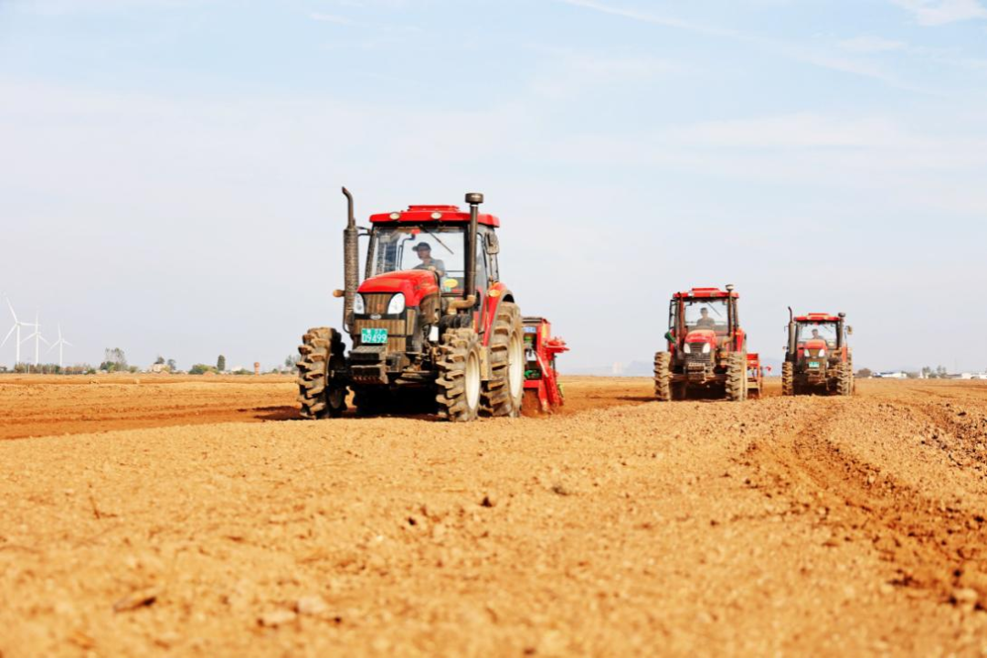 金狮贵宾会·宾至如归尊贵显赫(中国)官方网站