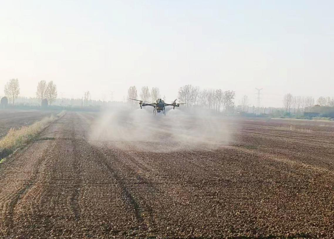 金狮贵宾会·宾至如归尊贵显赫(中国)官方网站