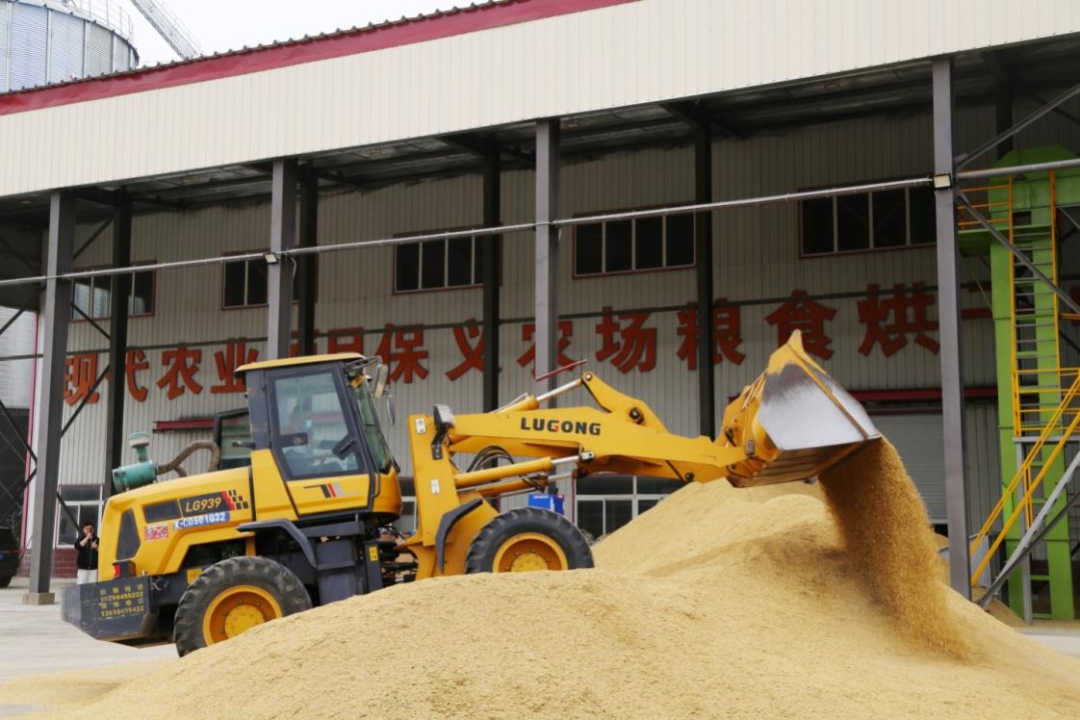 金狮贵宾会·宾至如归尊贵显赫(中国)官方网站