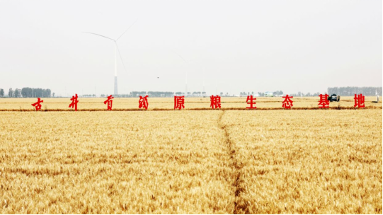 金狮贵宾会·宾至如归尊贵显赫(中国)官方网站