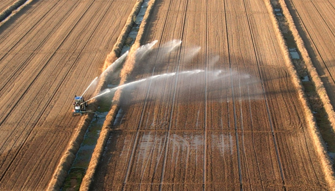 金狮贵宾会·宾至如归尊贵显赫(中国)官方网站