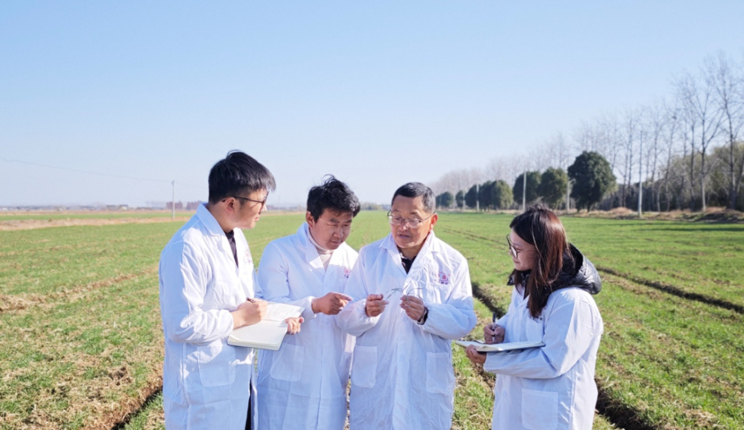 金狮贵宾会·宾至如归尊贵显赫(中国)官方网站