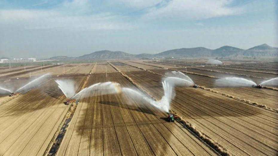 金狮贵宾会·宾至如归尊贵显赫(中国)官方网站