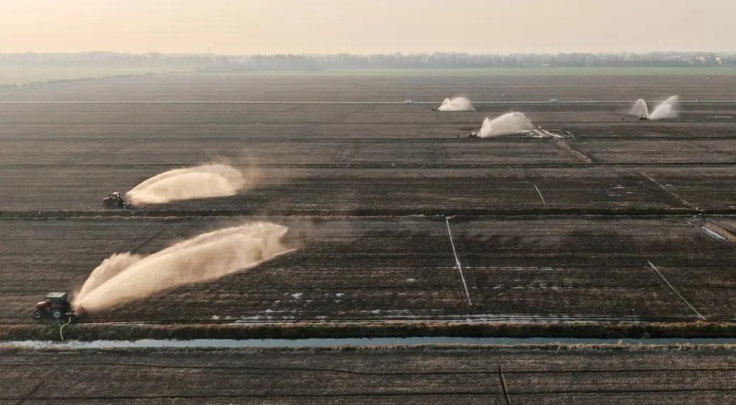 金狮贵宾会·宾至如归尊贵显赫(中国)官方网站