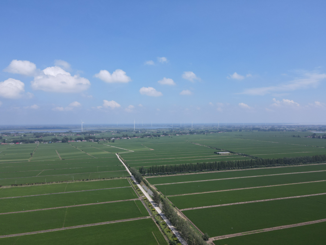 金狮贵宾会·宾至如归尊贵显赫(中国)官方网站