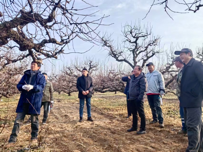 金狮贵宾会·宾至如归尊贵显赫(中国)官方网站