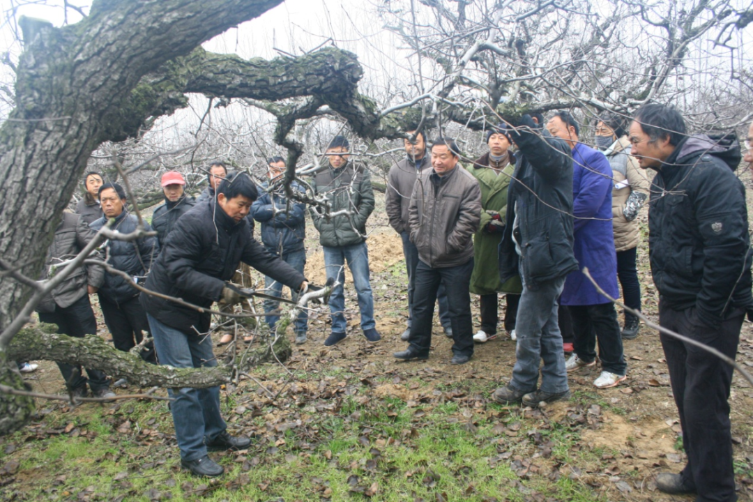 金狮贵宾会·宾至如归尊贵显赫(中国)官方网站